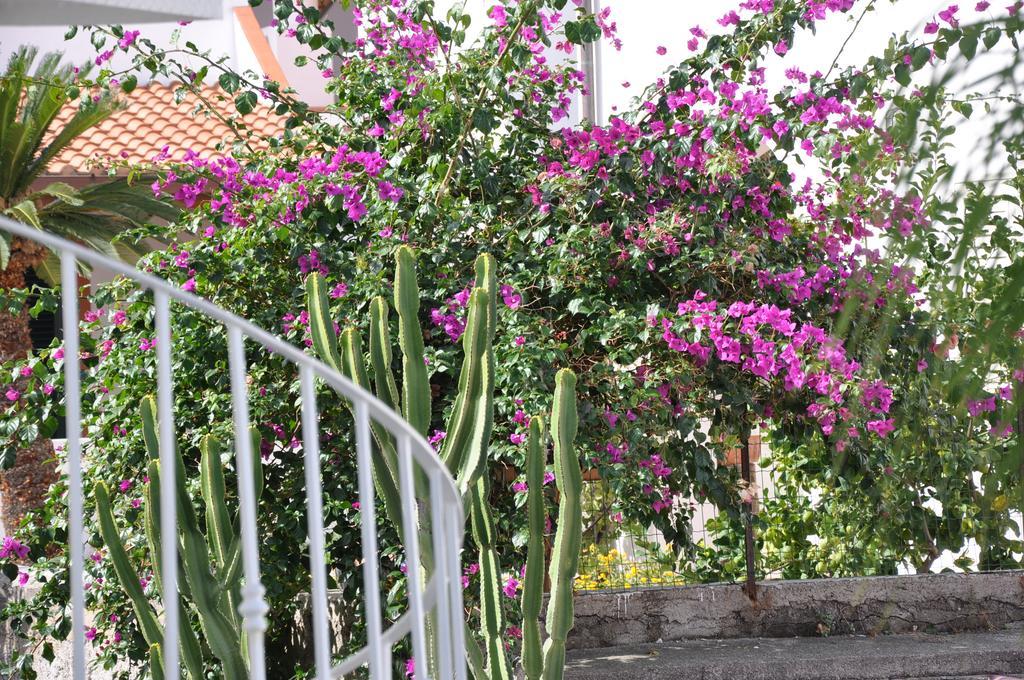 Villa Sea Rose Λίπαρι Εξωτερικό φωτογραφία